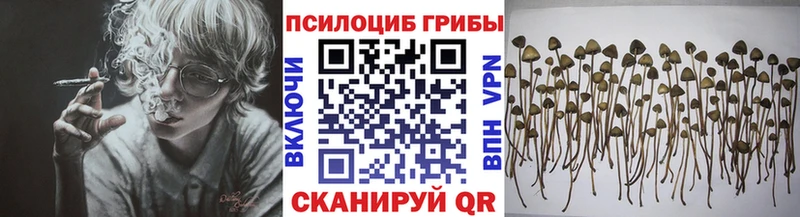 Псилоцибиновые грибы мицелий Купить где Котовск